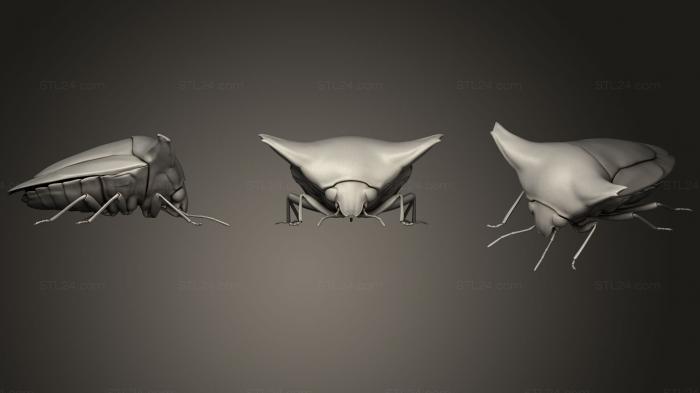 Insects (Insect beetles 10, INSCT_0043) 3D models for cnc
